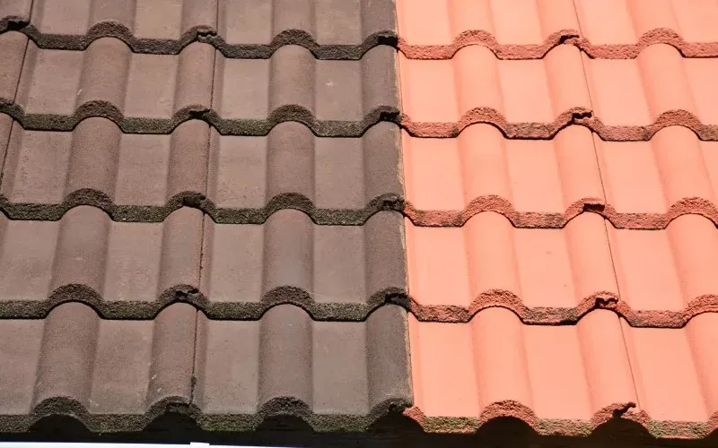 Démoussage à Buire-le-Sec